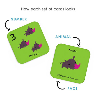 What's the Number? Number Flashcards by Worldwide Buddies