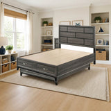 ACME Valdemar Eastern King Bed styled in a bright kids' bedroom, king