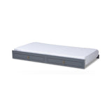Baxton Studio Mariana Classic and Traditional Grey Finished Wood Twin Size Trundle kids kids bed in Grey