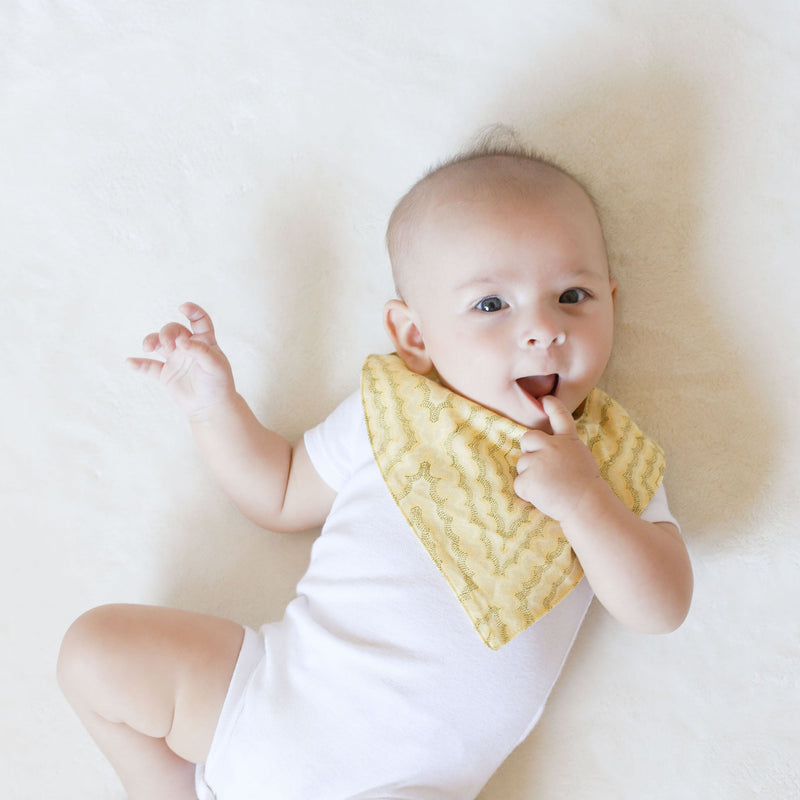 Be Droolie Bandana Bibs