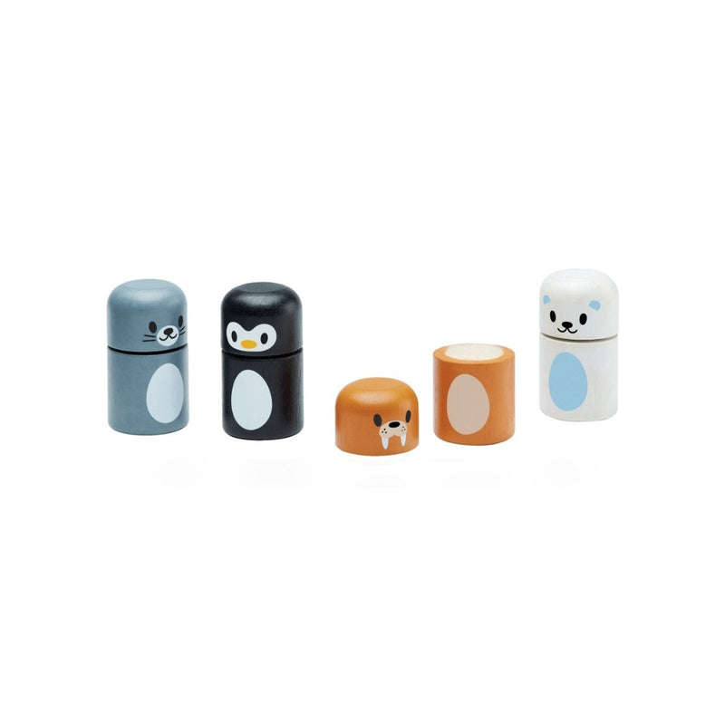 Arctic Animal Matching