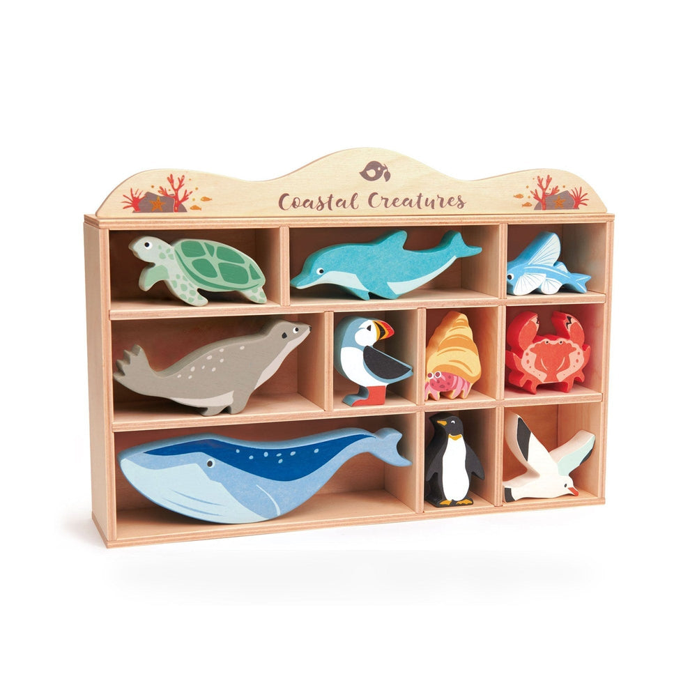Coastal Creatures
