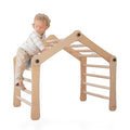 Transformable Pikler Triangle - Little Gym