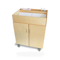 EZ Access Mobile Changing Cabinet