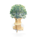 Nature View Tree Book Shelf