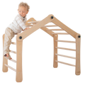Transformable Pikler Triangle - Little Gym
