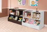 Multi-Bin Storage Cubby