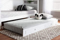 Cintia Cottage Farmhouse White Finished Wood Twin Size Trundle