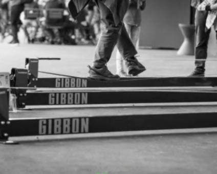 Gibbon Slackrack Fitness - In Home Slackline Set