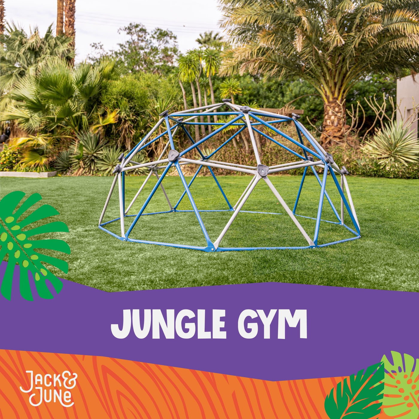 Jungle Gym