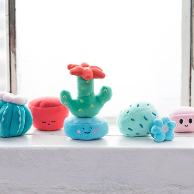 Cactus Garden by Manhattan Toy