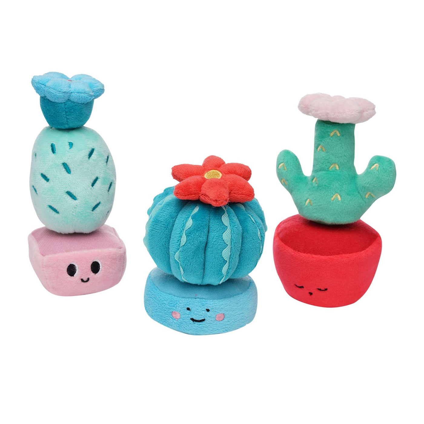 Cactus Garden by Manhattan Toy