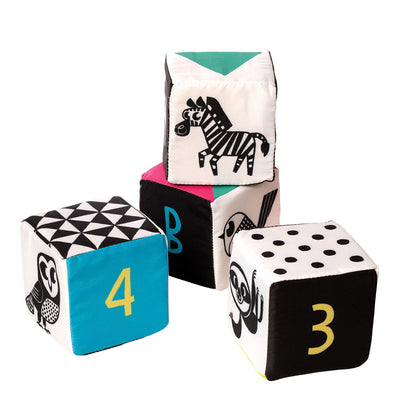 Wimmer Ferguson Mind Cubes by Manhattan Toy