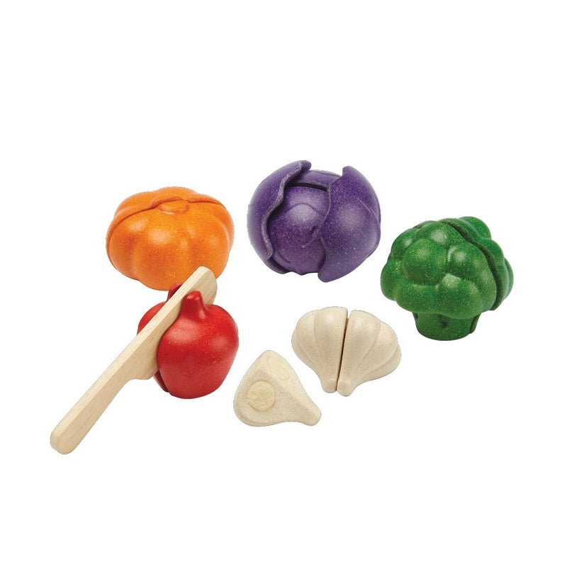 5 Colors Veggie Set