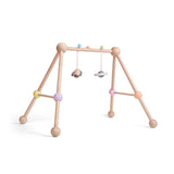 Play Gym - Pastel Series