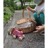Push Along Bunny - Brown