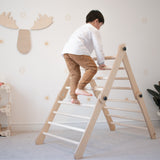 BUNDLE - Transformable Pikler Triangle, Rocker & Reversible Ramp