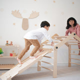 Transformable Pikler Triangle - Little Gym