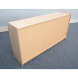 Basic Single Storage Shelf Cabinet 24H