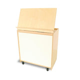 Big Book Display With Write and Wipe Back