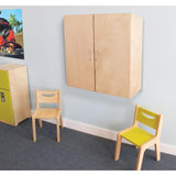 "Lockable wall mounted cabinet "