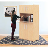 Teachers Workstation Cabinet